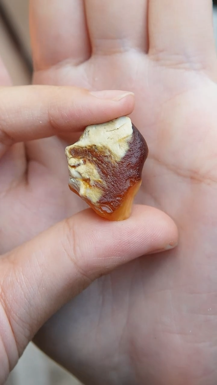 【闪购商品】琥珀裸石未镶嵌原石