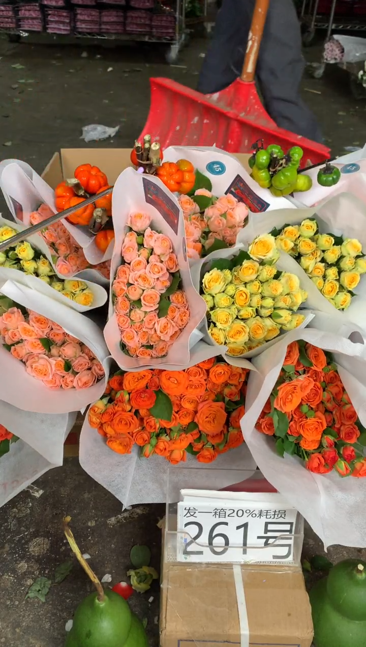 261号♥含20%耗损发一箱