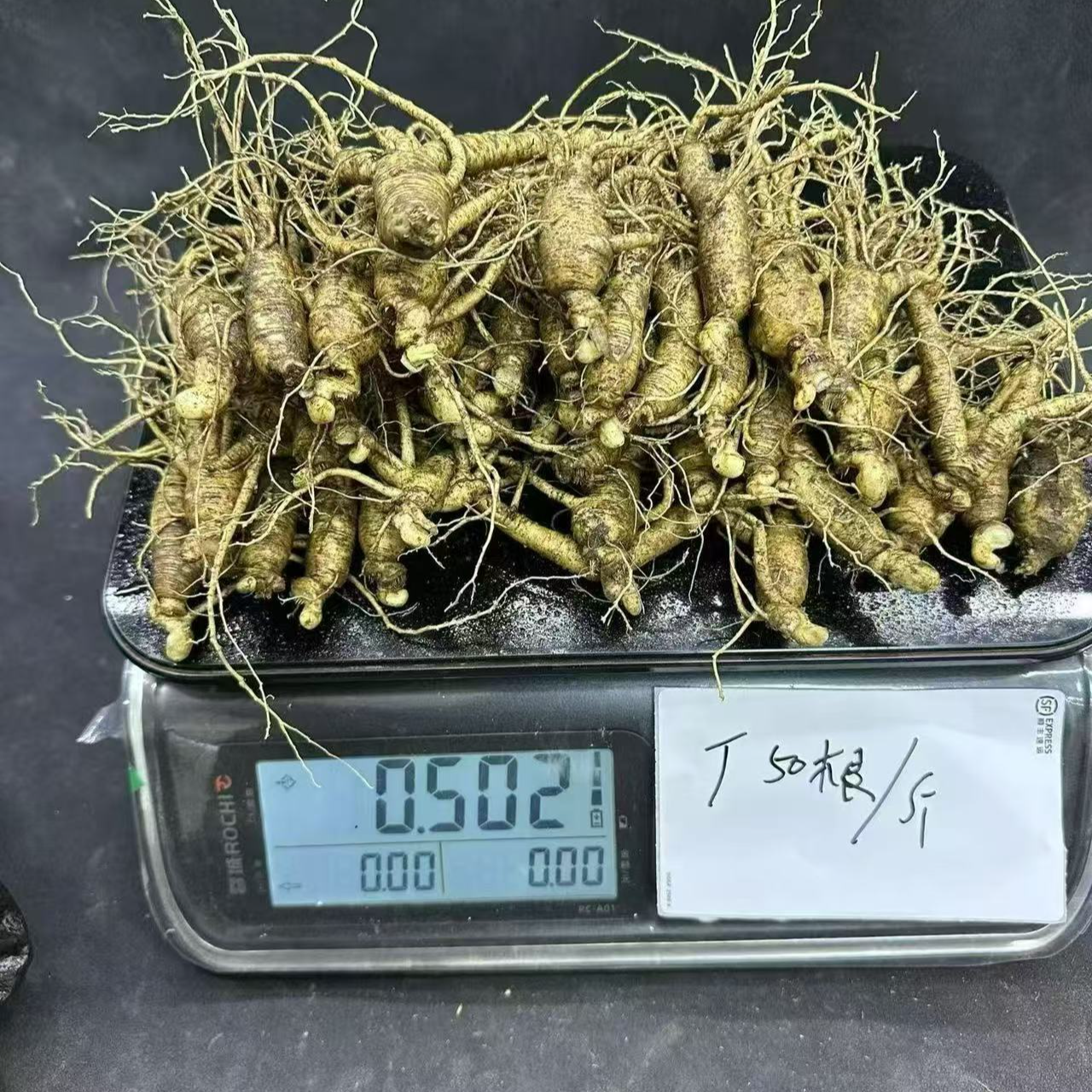 特价一斤50根左右顺丰包邮长白山种植新鲜带土人参长白山鲜人参