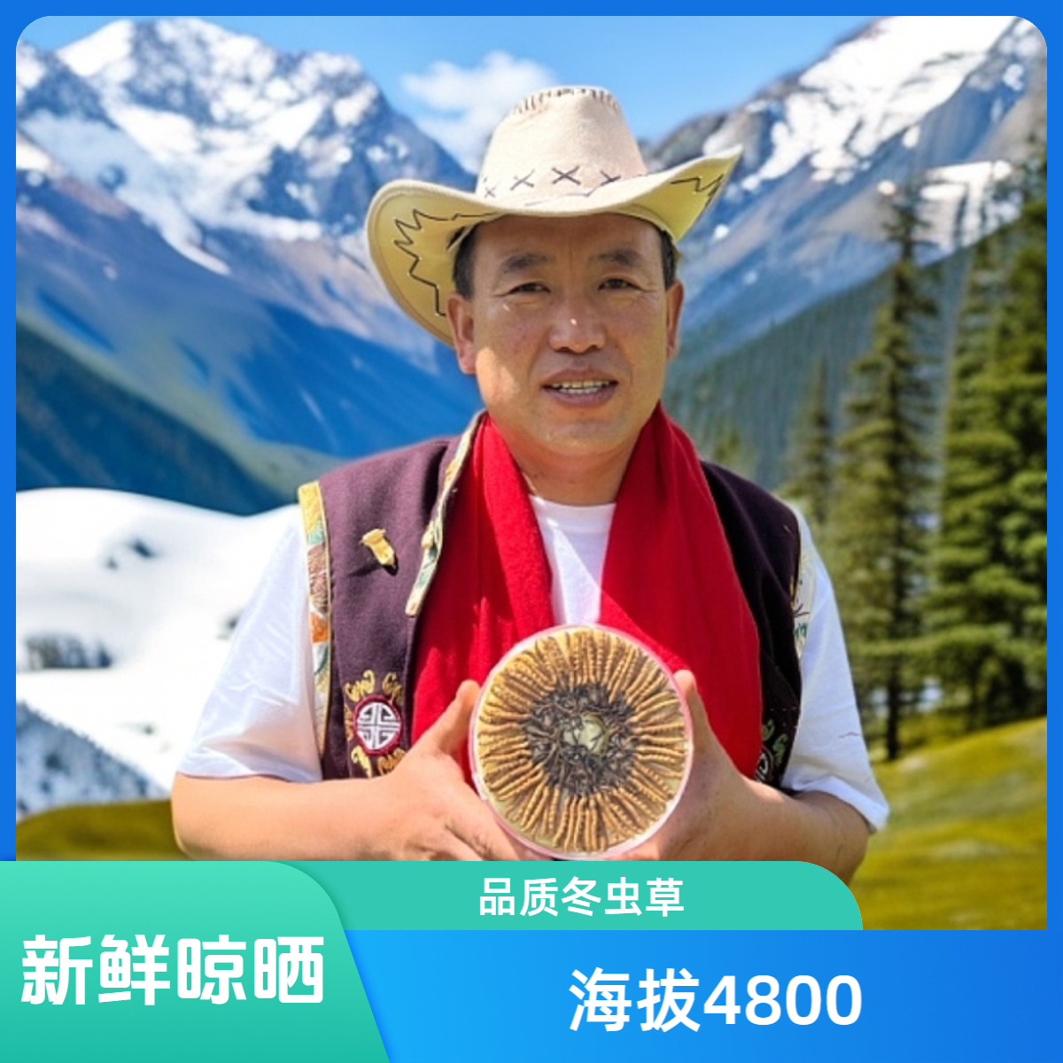 【野生整草】2025新鲜晾晒干冬虫夏草海拔4500米以上雪域珍品