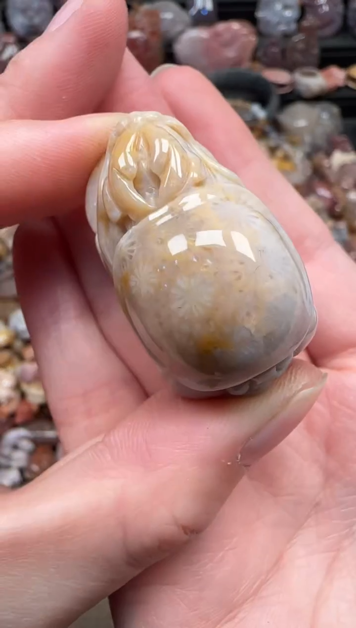 颈饰未镶嵌硅化珊瑚（珊瑚玉）117