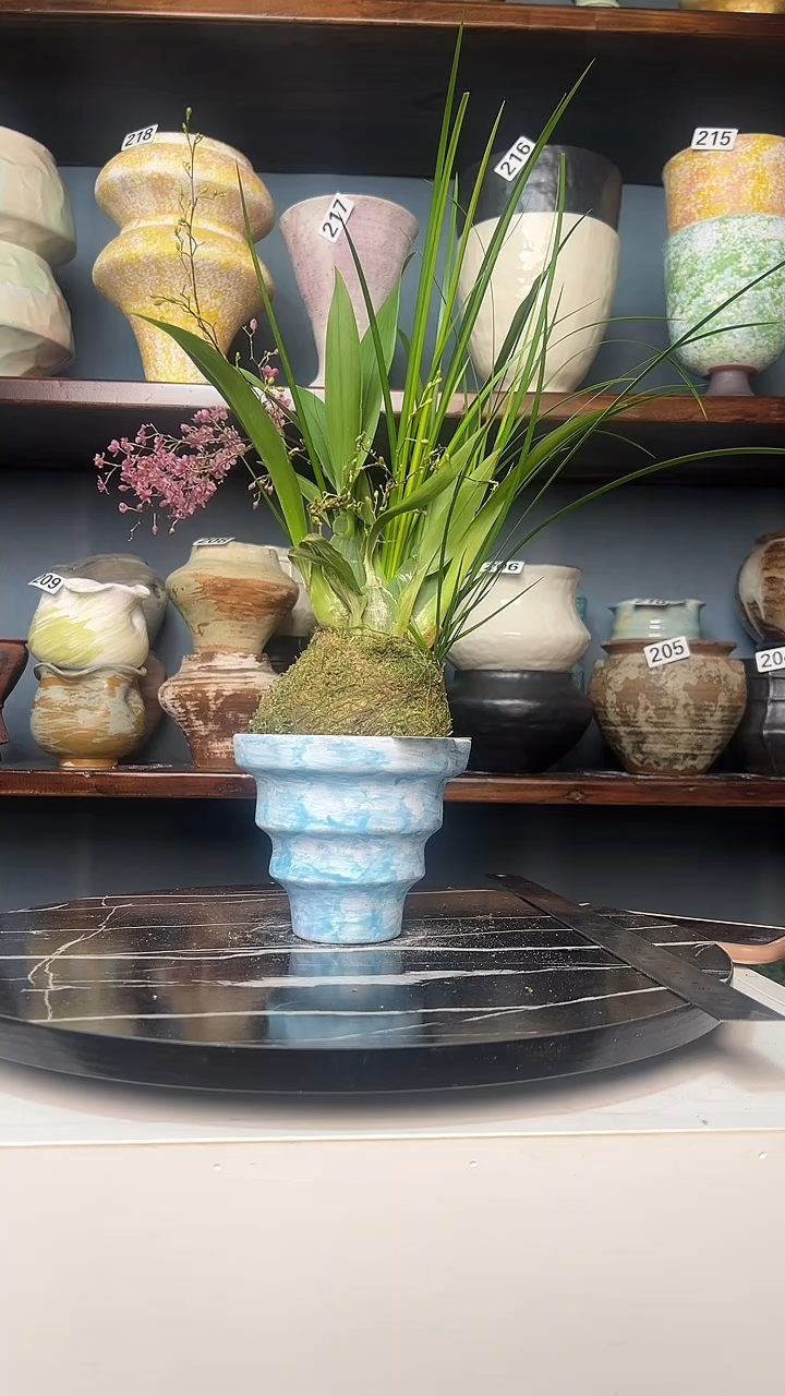 瓷片白泥227有孔12/10