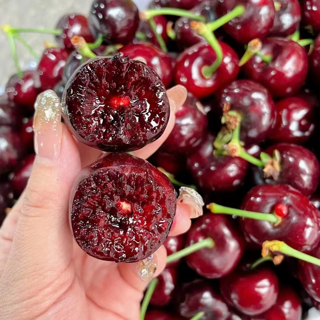 吉制【二姐家 智利海运桑提娜车厘子】4JDD 脆甜爽口 内附果径卡