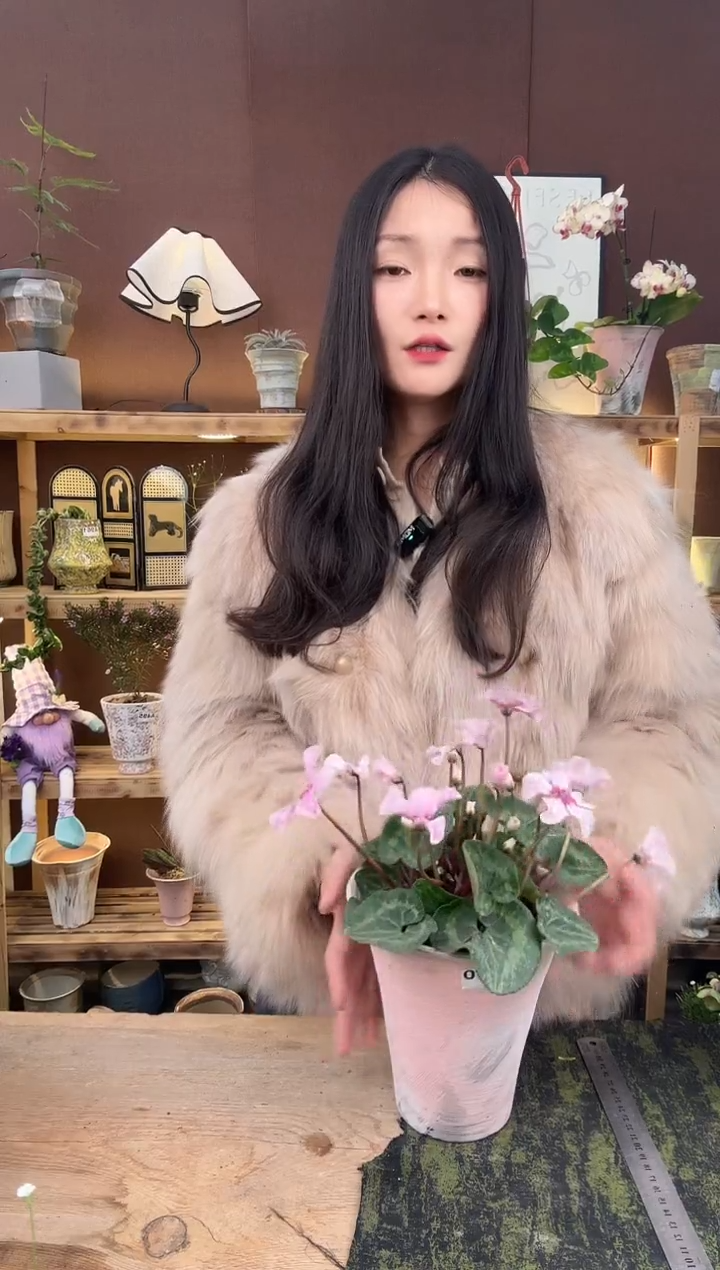 以实际为准161幻雅育苗盆