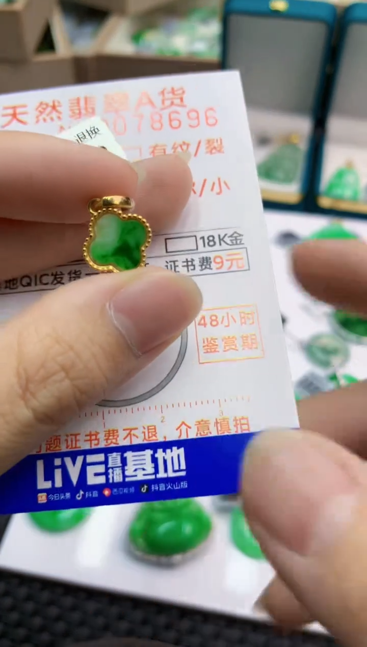 翡翠未镶嵌颈饰        1