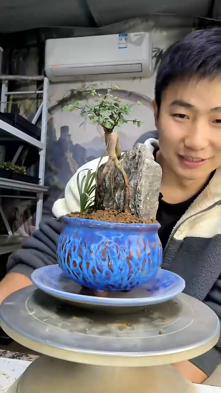 C***n中青园艺一物一拍花209