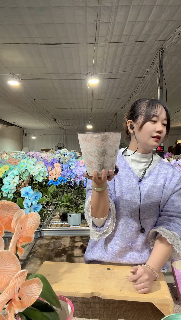 仙****管彩色手绘盆1颗