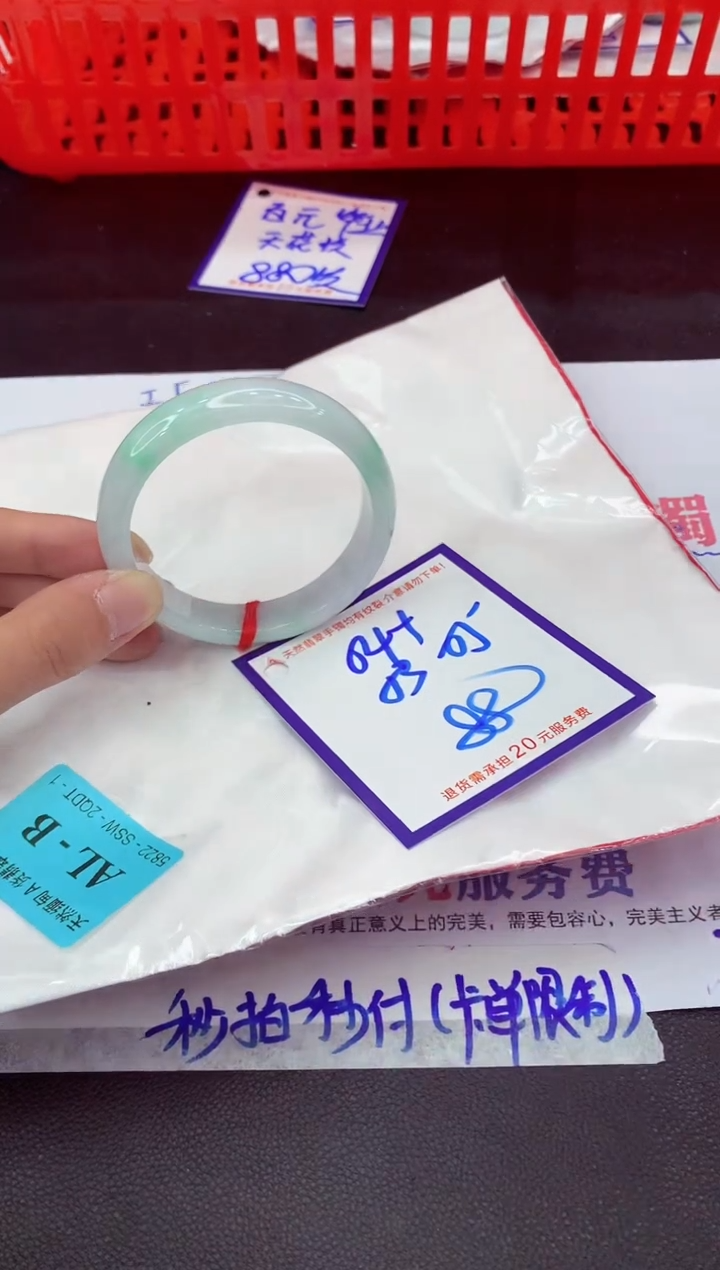 未镶嵌手镯翡翠11111111