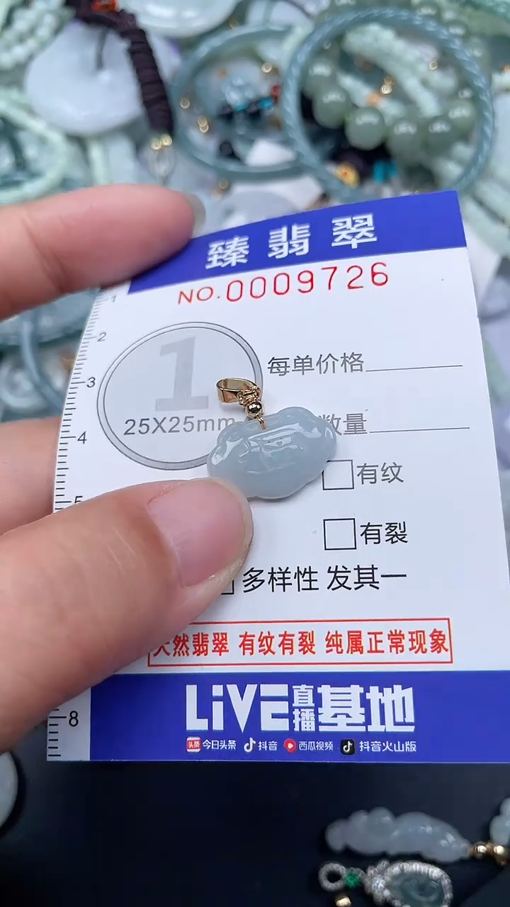 颈饰未镶嵌翡翠.0009726