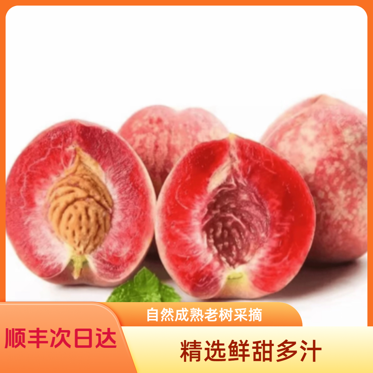 【辽吉黑次日达】血桃朱砂红桃河南安阳 老树新鲜采摘现采现发 顺丰次日达桃子同城送河南省