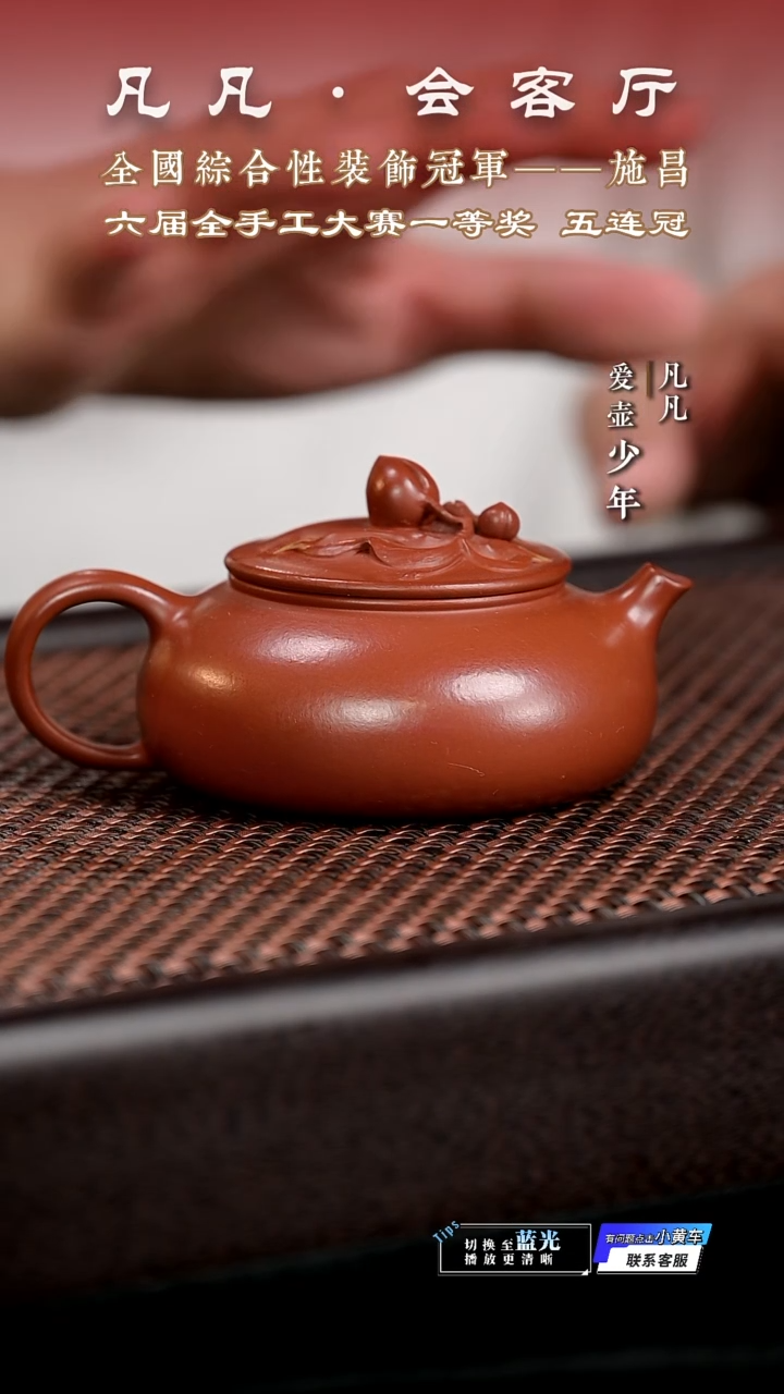 茶壶紫砂凡凡会客厅 紫砂壶05 桃叶寒江朱泥130cc