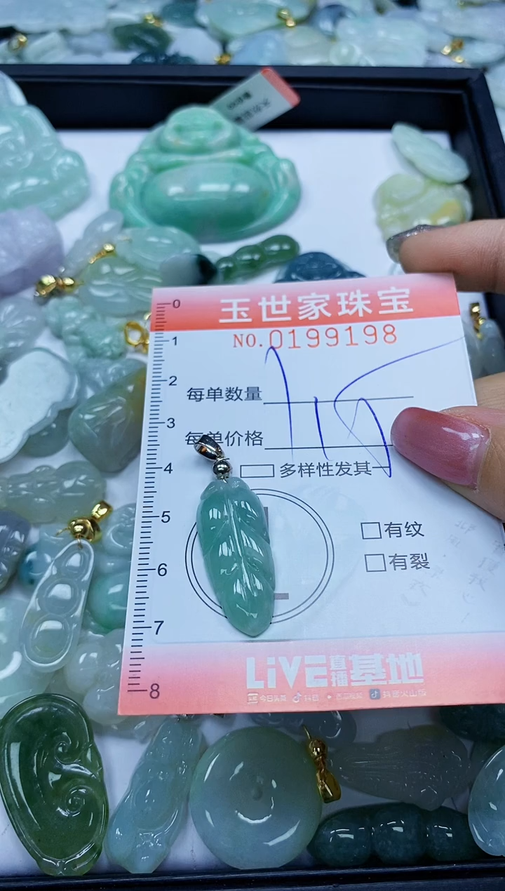 【闪购商品】翡翠颈饰未镶嵌闪购0199198