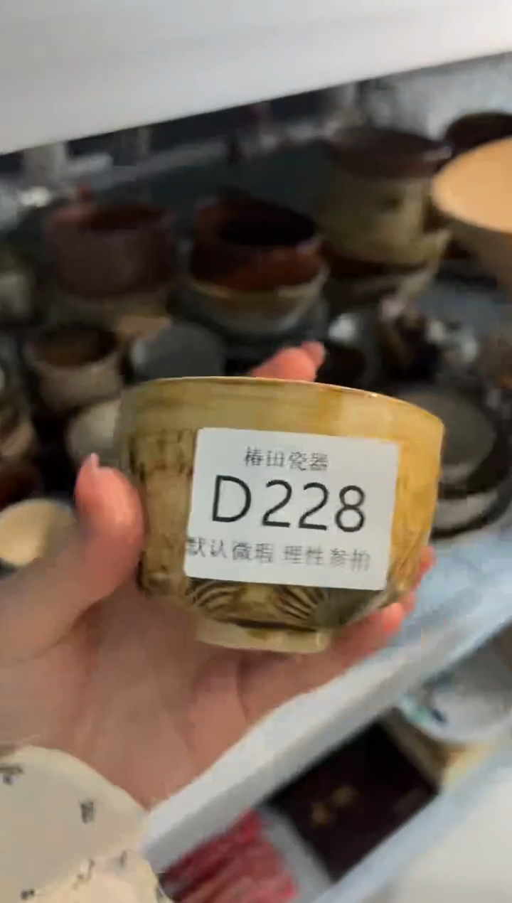 瓷片罗**长瓷片瓷片          D 228