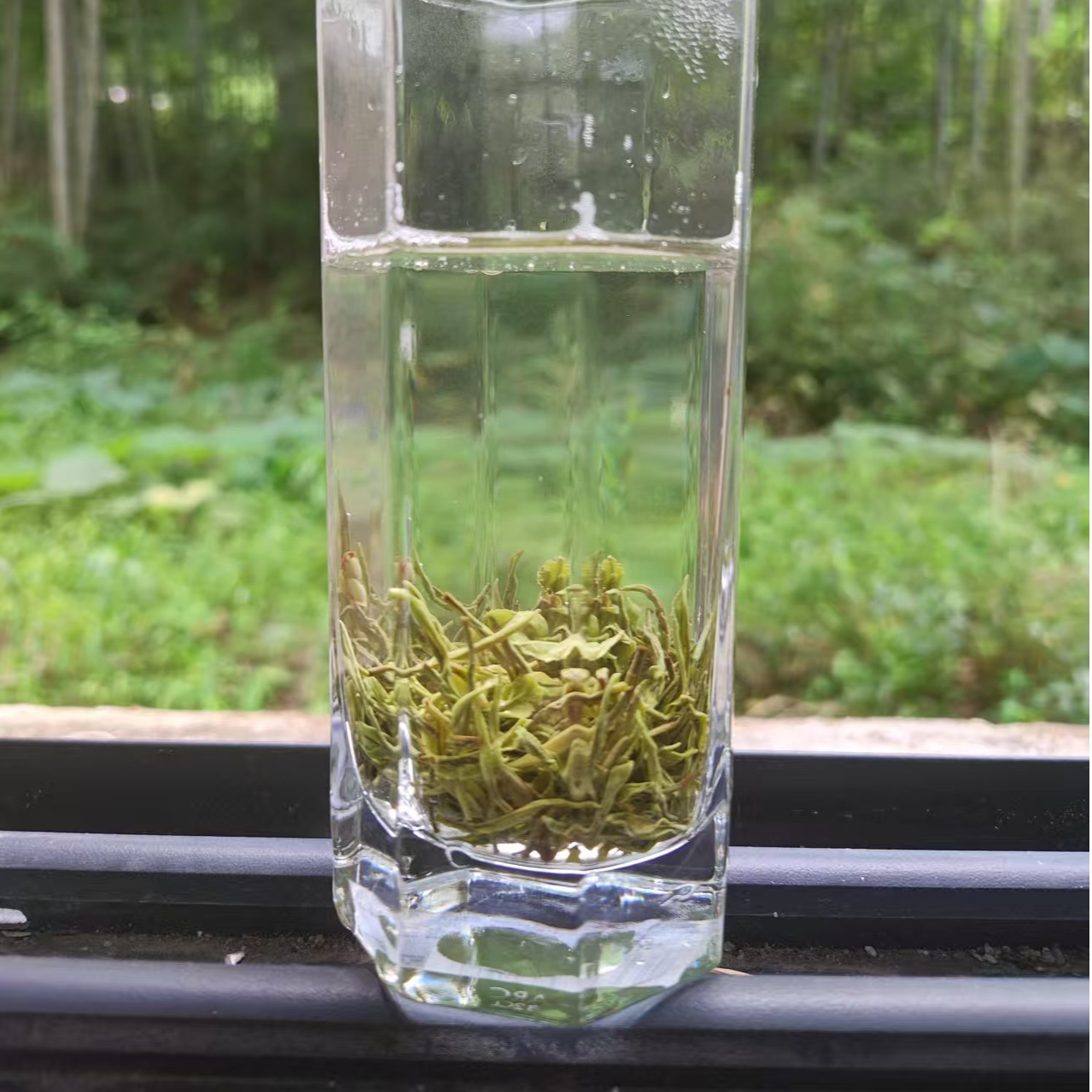 桃岭村高山正宗自制精品毛峰绿茶