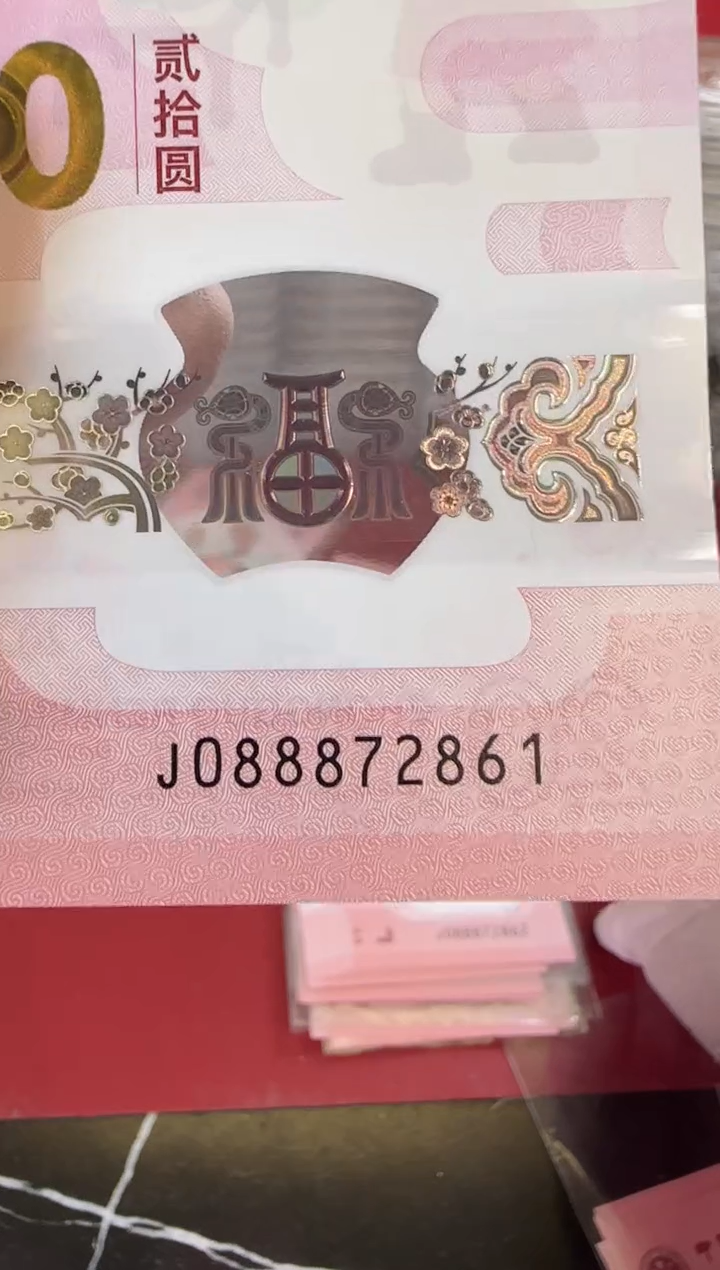 【闪购商品】塑料2025蛇钞单张裸088872861