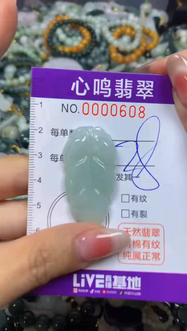 【闪购商品】翡翠颈饰未镶嵌闪购00608