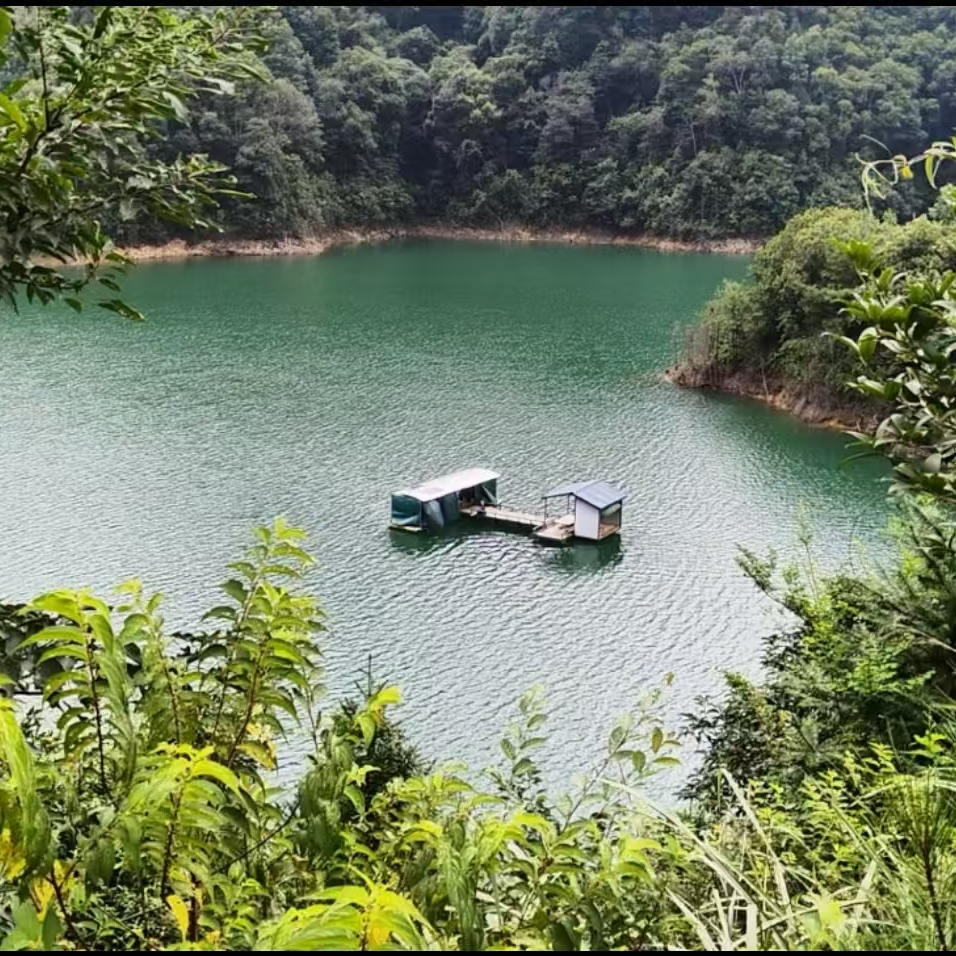 及时行钓俱乐部服务体验主讲卷