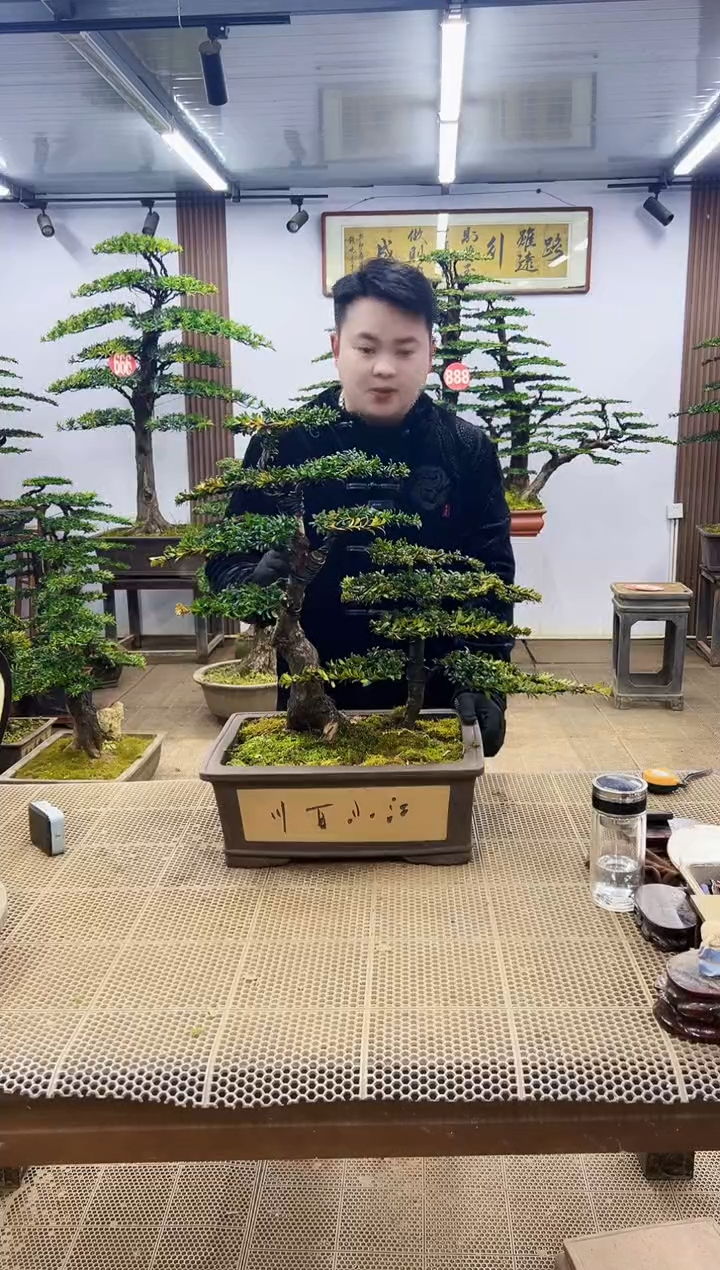 【闪购商品】000000000