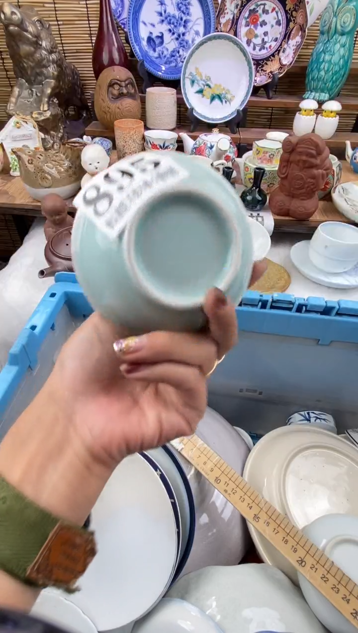 瓷片森的瓷器开播大吉