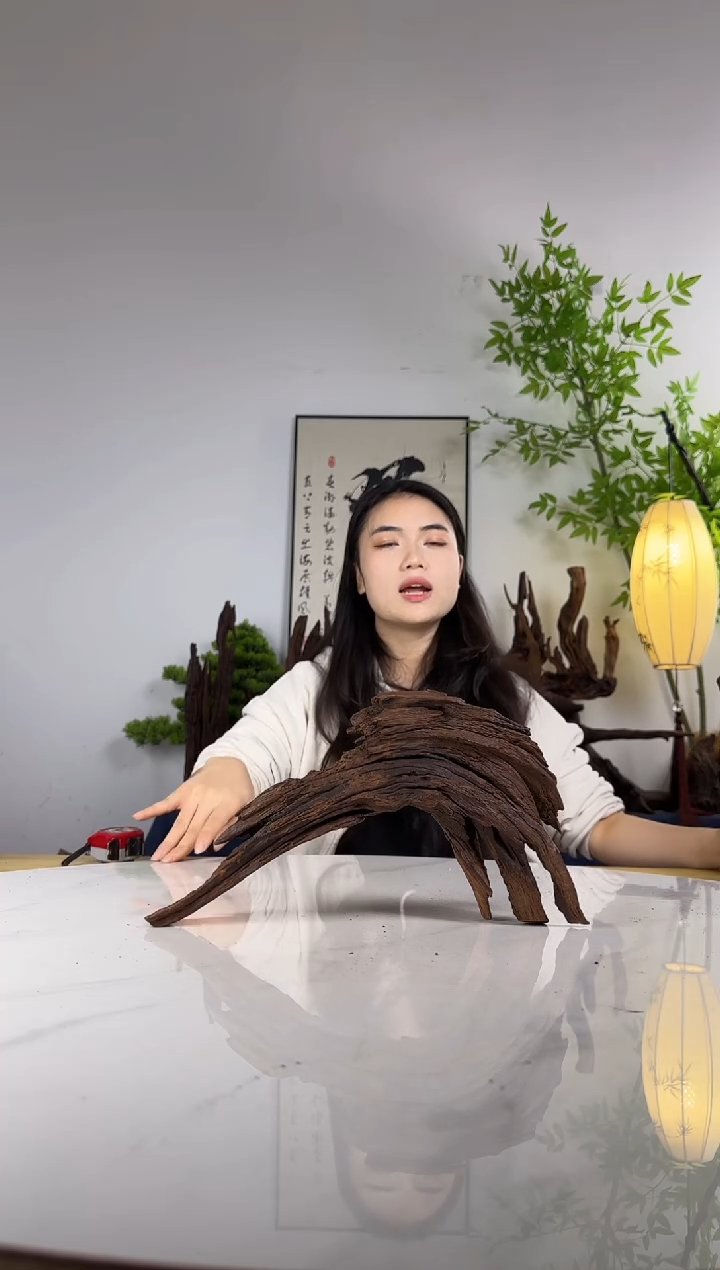 **拍这个定向编号18