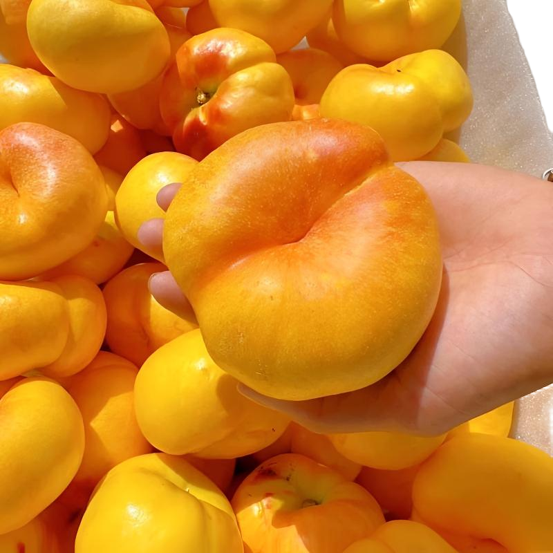 【送礼佳品】彩虹油蟠桃黄金精品整箱应季水果皮薄甜嫩多汁新鲜包邮