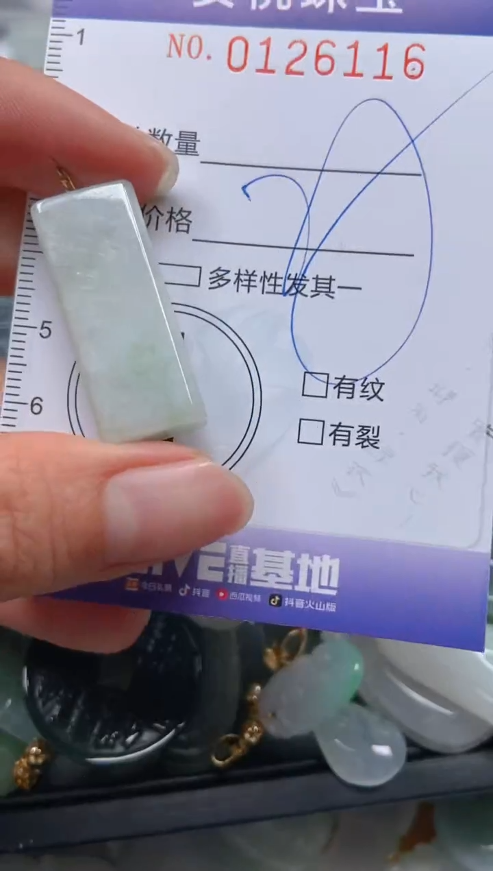 【闪购商品】翡翠颈饰未镶嵌闪购0126116