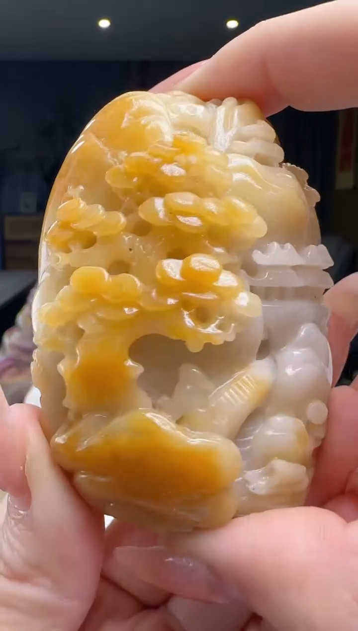 【闪购商品】翡翠颈饰未镶嵌YJ@@WS1SS01996