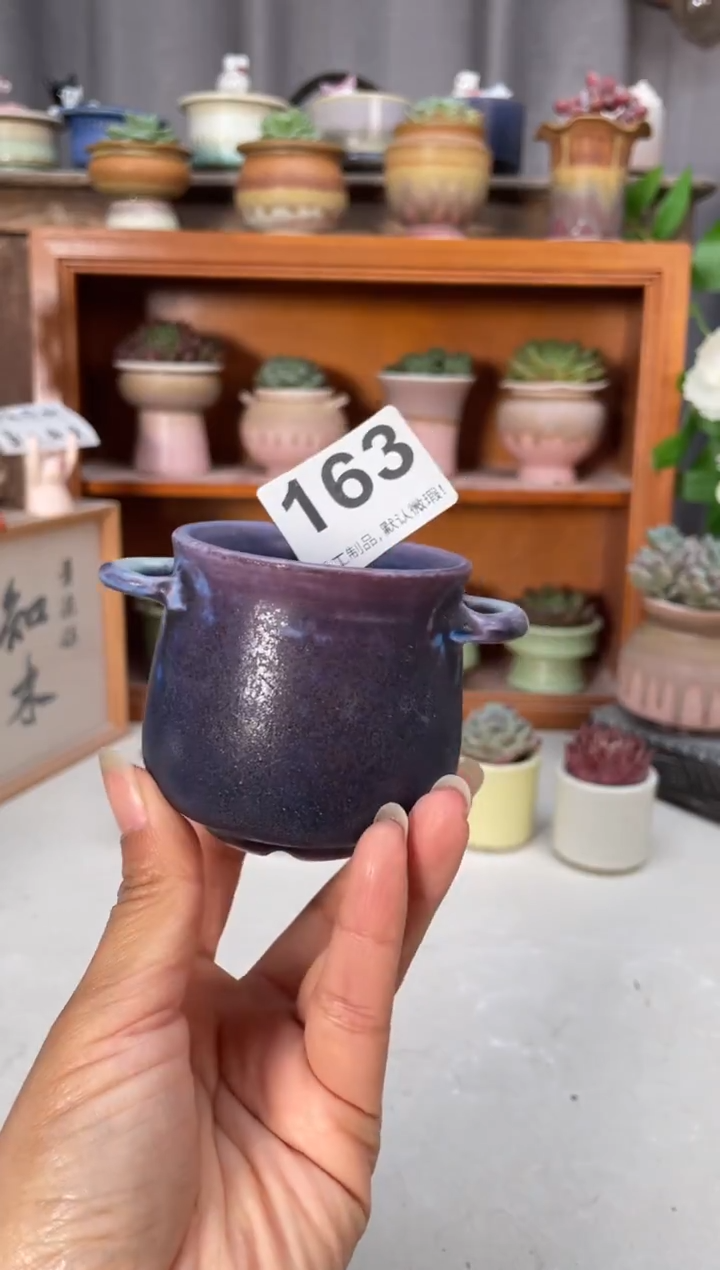 瓷片163知木小芳花盆编号