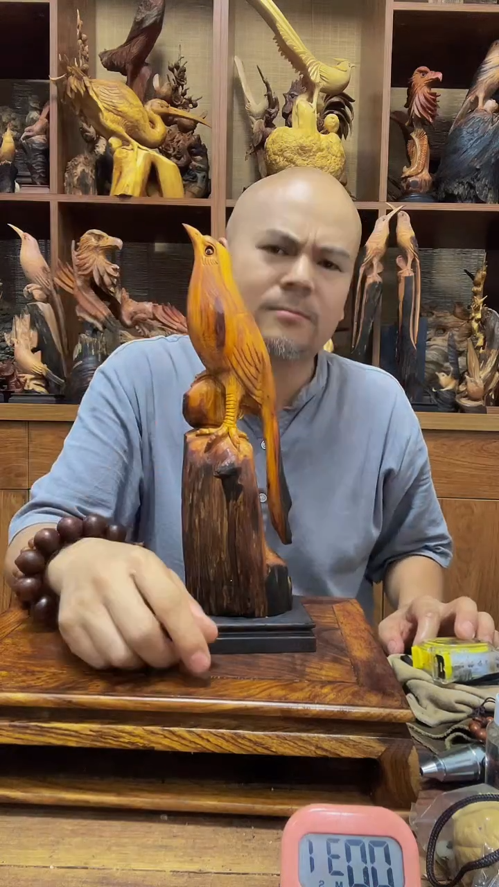 松木?****?定向 ☞千里寻音