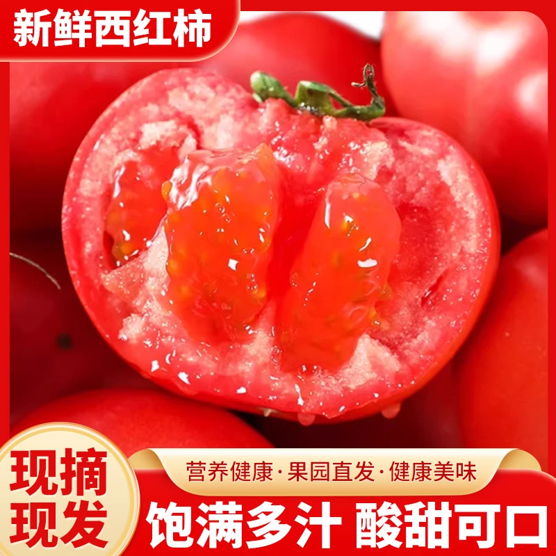 攀枝花高山西红柿沙瓤多汁自然熟可炒菜可生吃