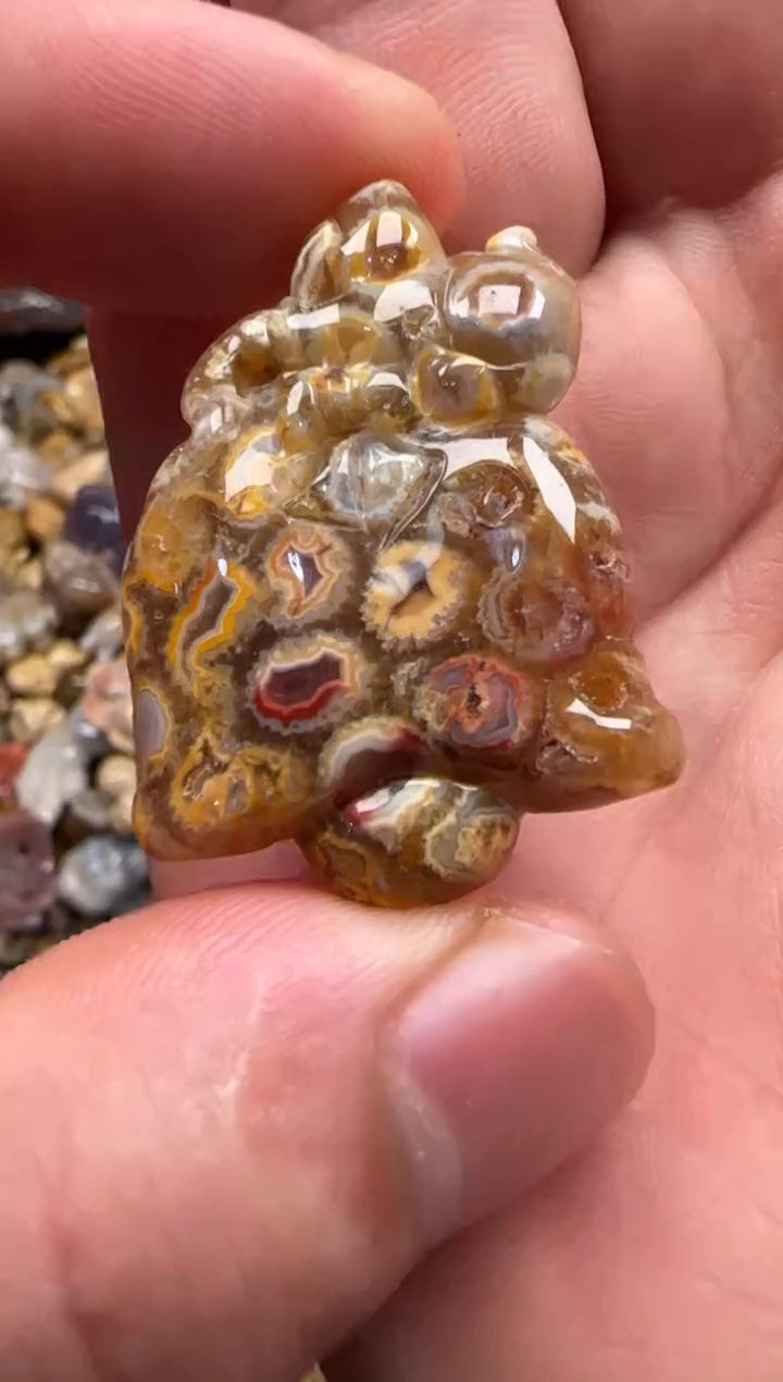 【闪购商品】硅化珊瑚（珊瑚玉）颈饰未镶嵌561