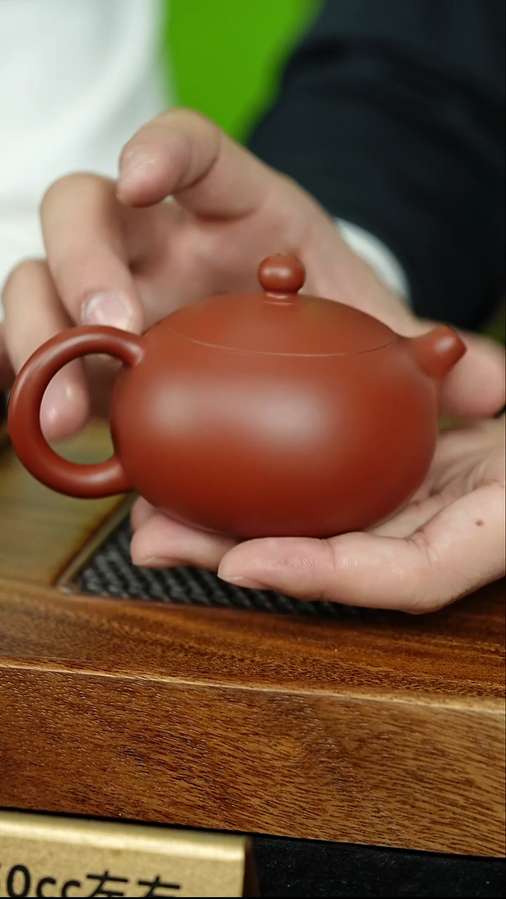 宜兴紫砂茶壶茶壶13