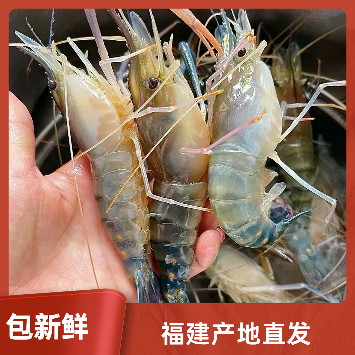 （DH软壳罗氏虾）罗氏虾大头虾活虾冷冻新鲜淡水虾海鲜速冻