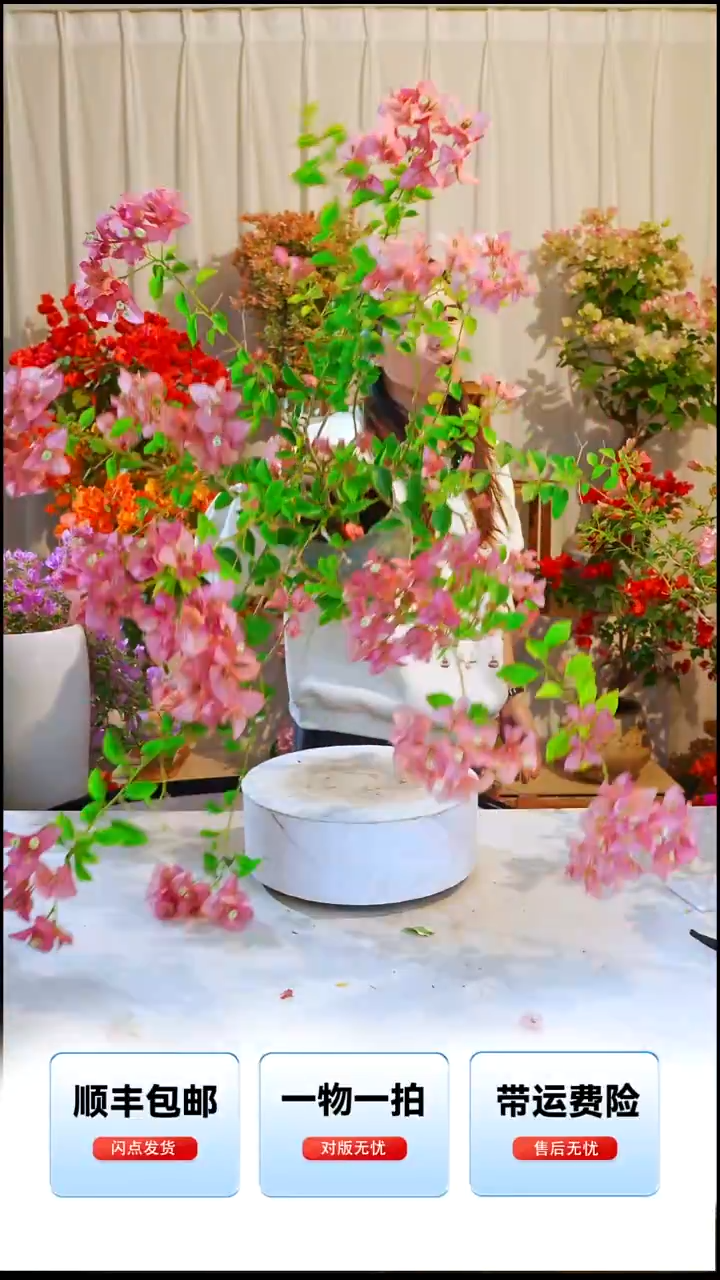 大部分开放少量花苞卡亚塔