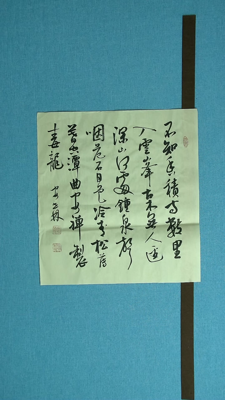 【闪购商品】书法129 甘肃安石林中书协45*45