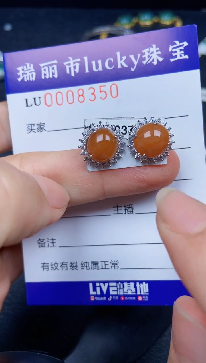 【闪购商品】翡翠颈饰银S925镶嵌8350