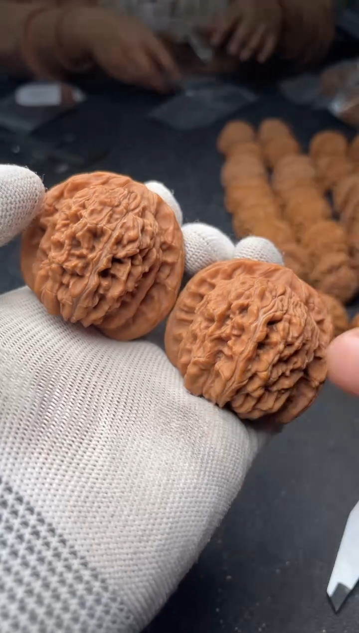 核桃a230   楼子   46尺