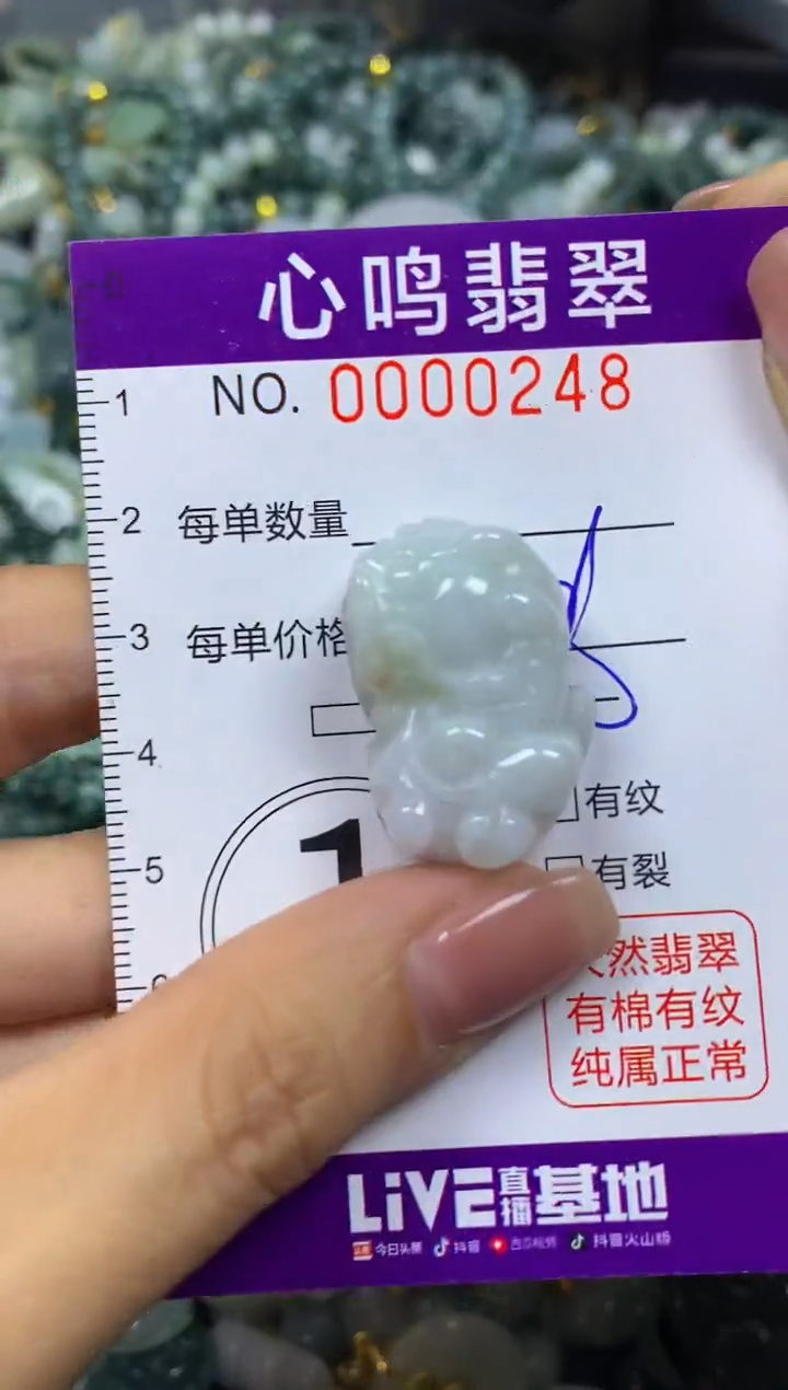 翡翠未镶嵌颈饰闪购00248