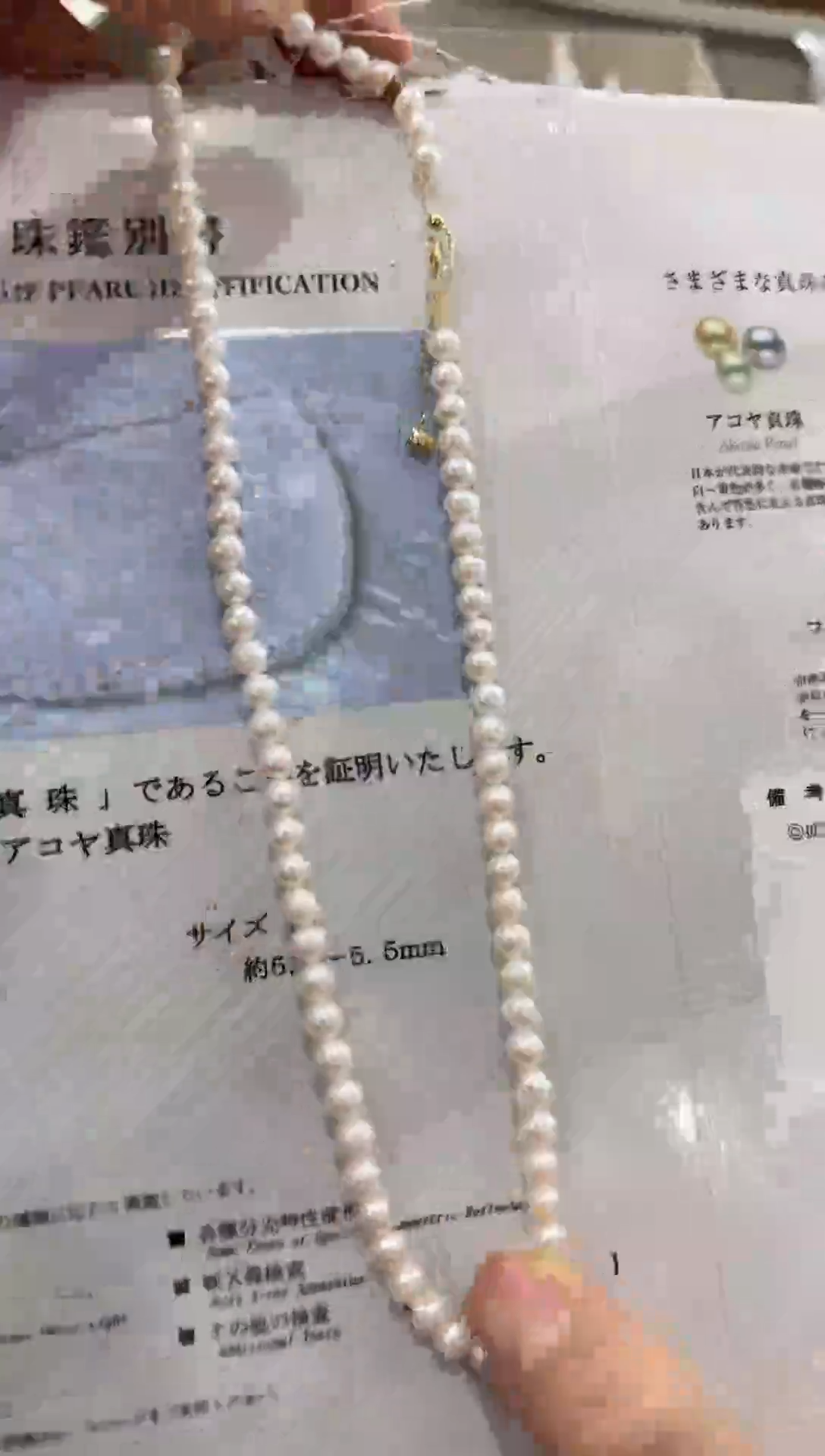 【闪购商品】海水珍珠NN18K金镶嵌珍珠串链带大证@@E142