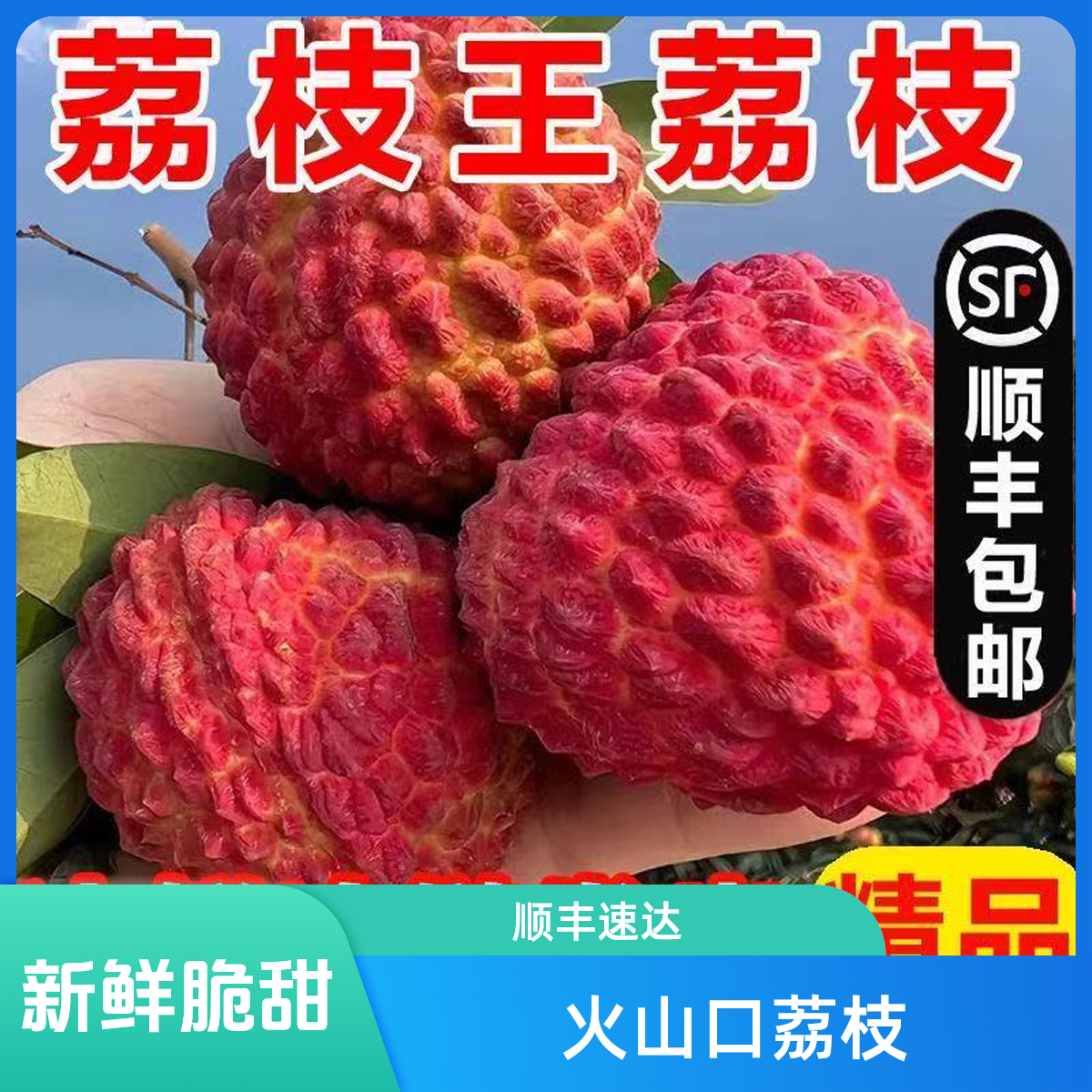 海南荔枝王特大荔枝王荔枝同城送新鲜