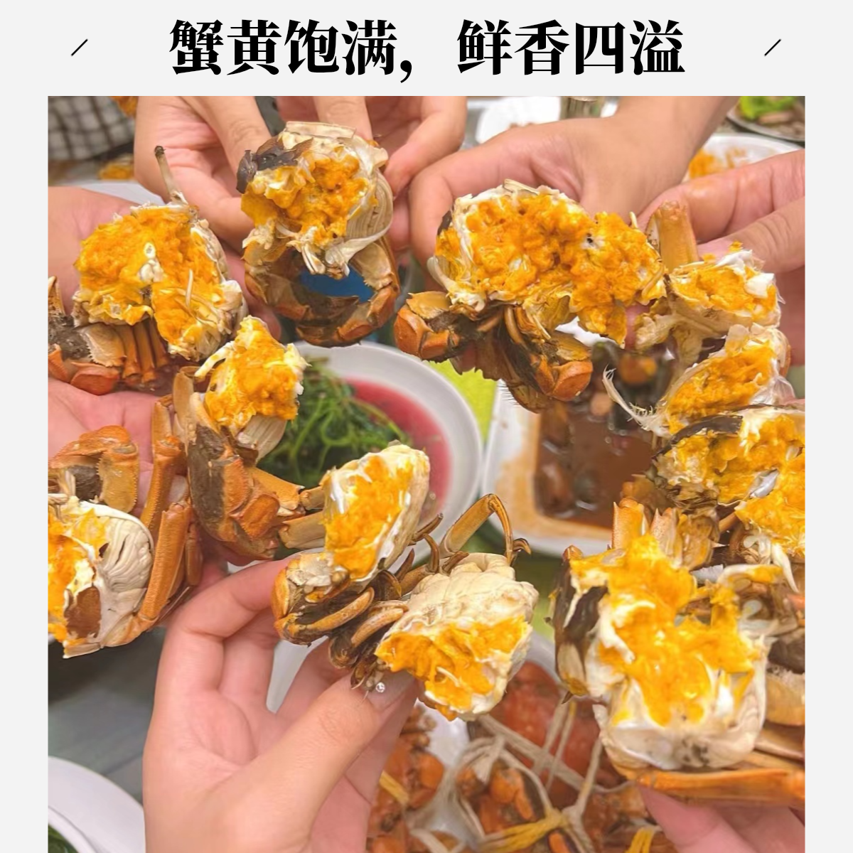 【仅售川渝】螃蟹 青蟹买10只送2只 只只带黄顺丰包邮