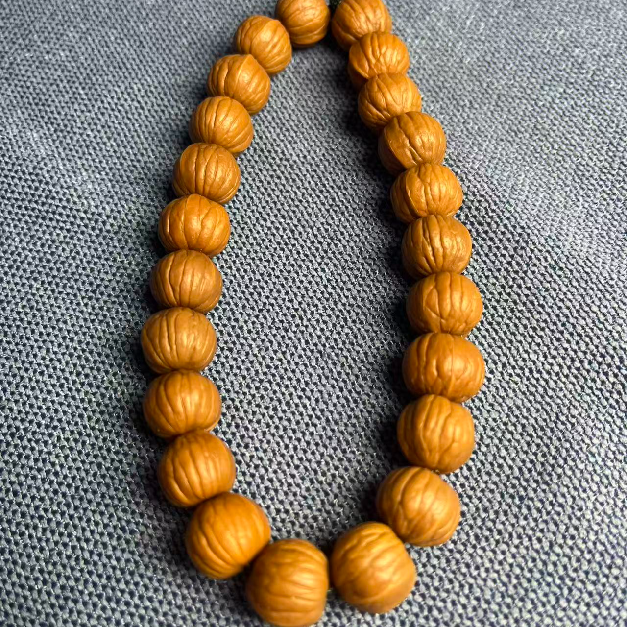 双鳍南瓜猴头手持12+