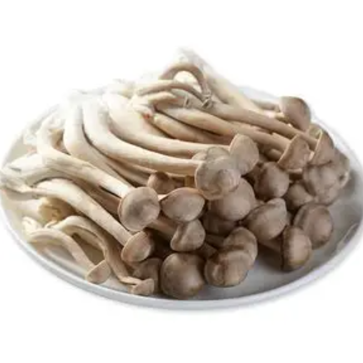 新鲜鹿茸菇230-250g/份 高山佳品 味道鲜美（炒、干锅、火锅菜）鹿茸菇