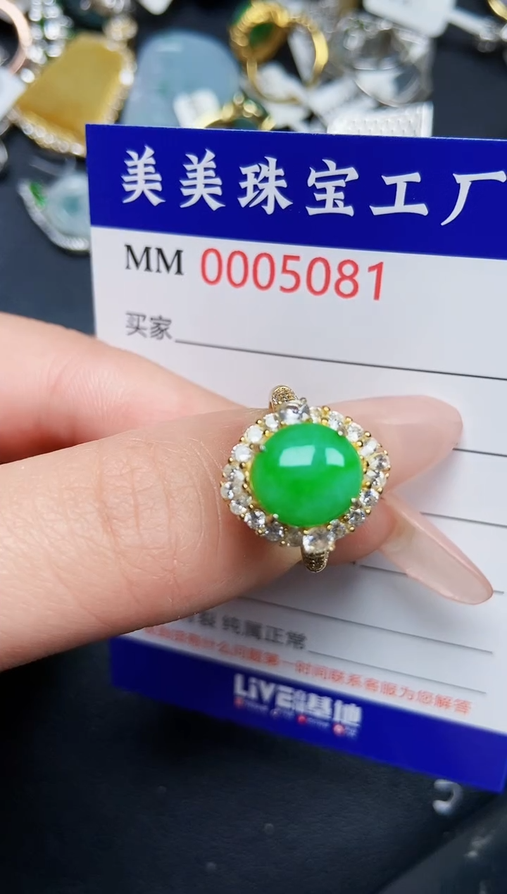 【闪购商品】翡翠颈饰银S925镶嵌5081