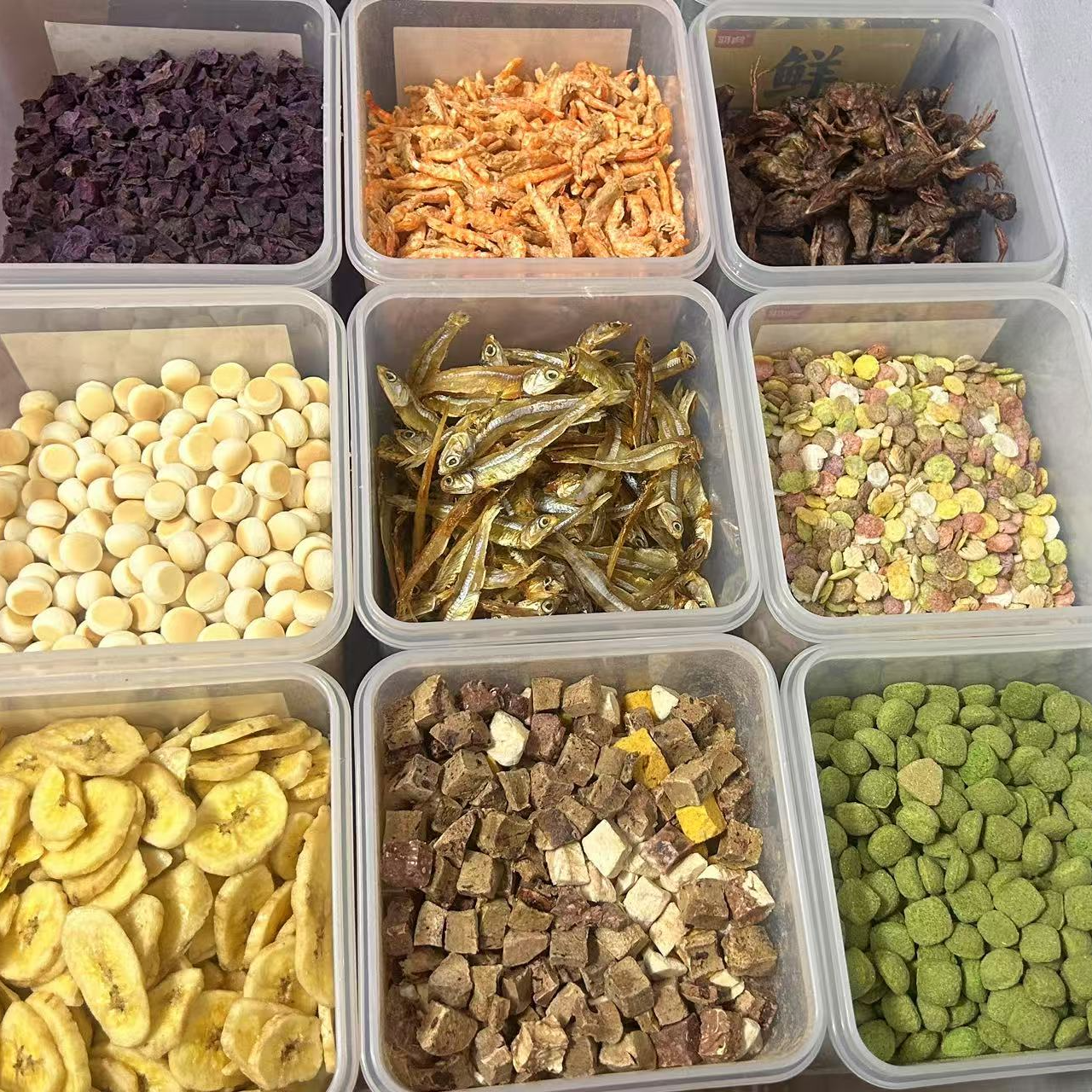 高营养高端粮花枝鼠金丝熊仓鼠自配粮