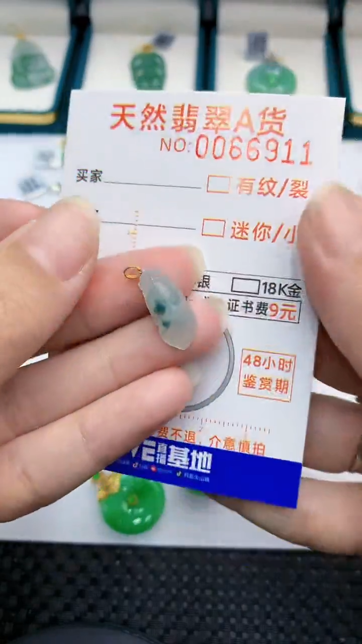 【闪购商品】翡翠颈饰18K金镶嵌            8