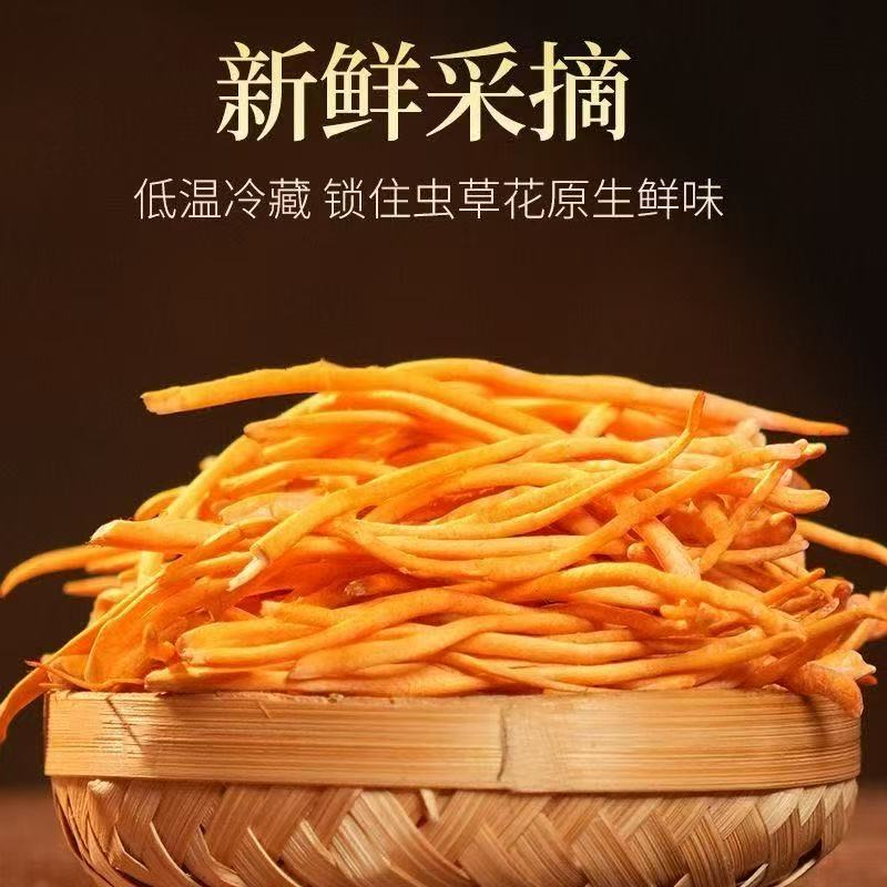 （鲜货）新鲜虫草净重孢子头新鲜虫草花煲汤炖菜