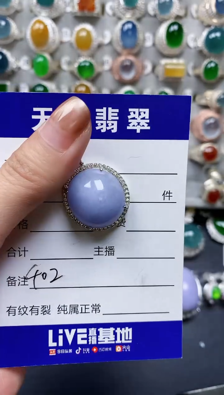 【闪购商品】翡翠颈饰银S925镶嵌0402
