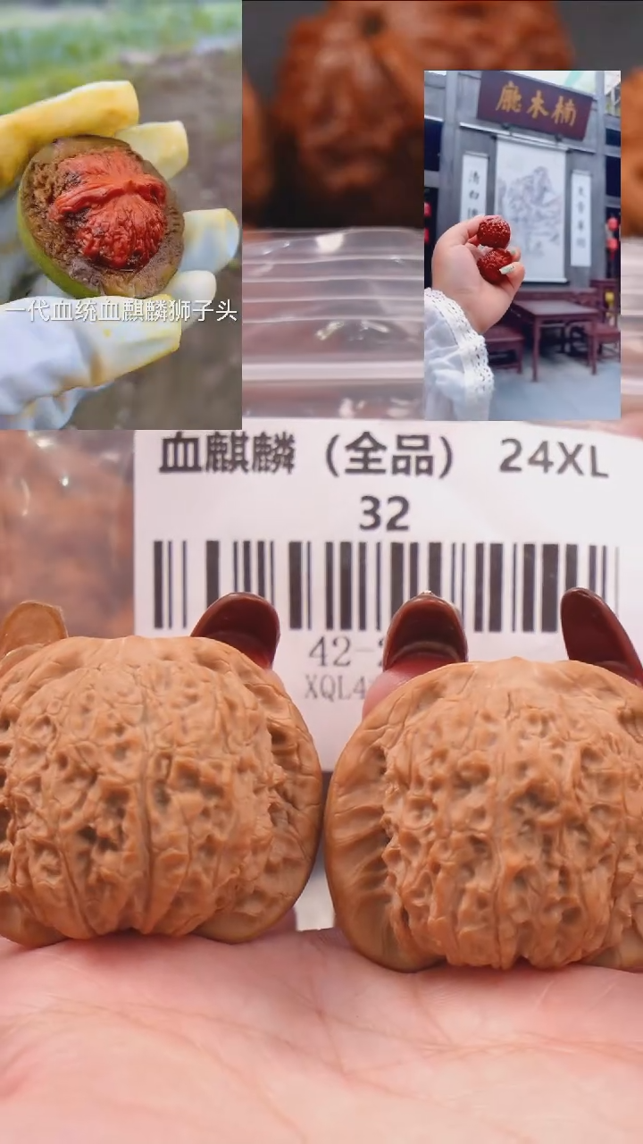 【闪购商品】文玩核桃把件42血麒麟狮子头（全品）