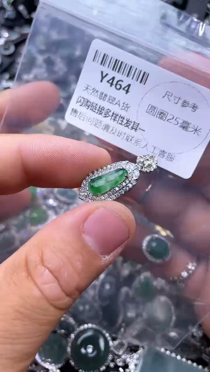 【闪购商品】翡翠颈饰未镶嵌Y464吊坠